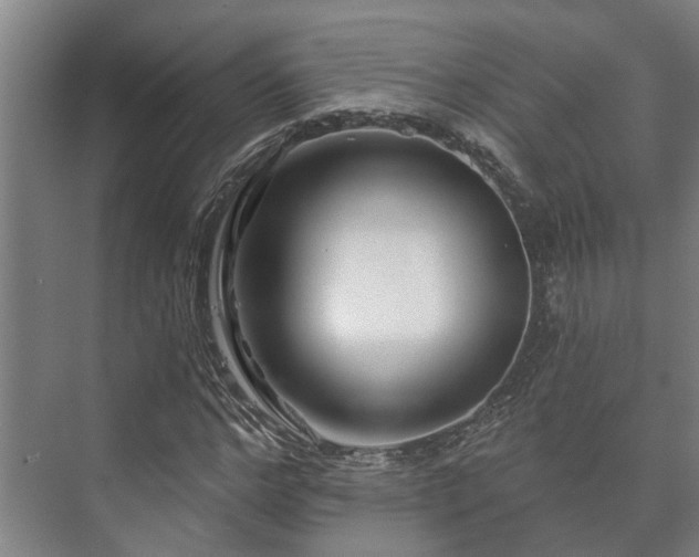 X0000073420968200608041020