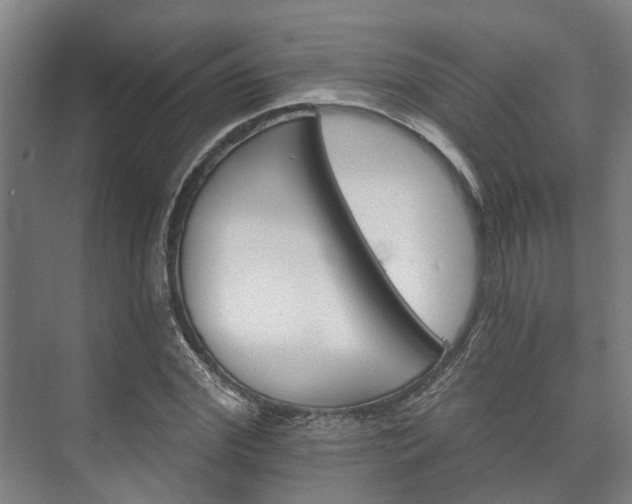 X0000073420972200608041020