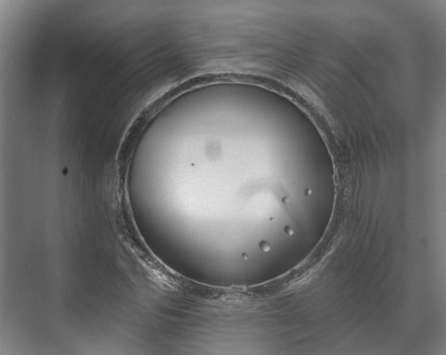 X0000073420974200608041020