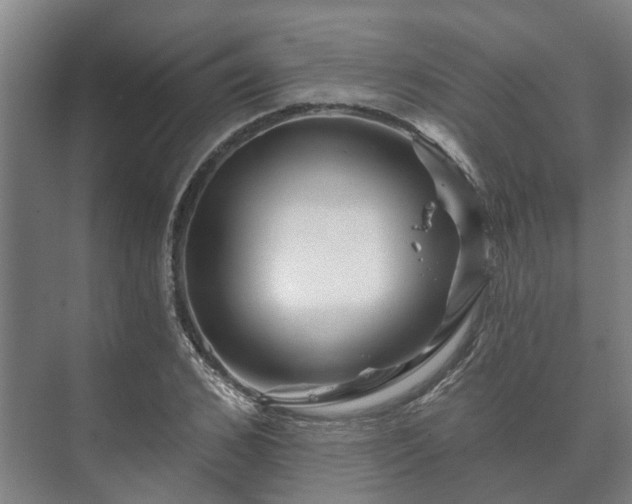 X0000073420976200608041020