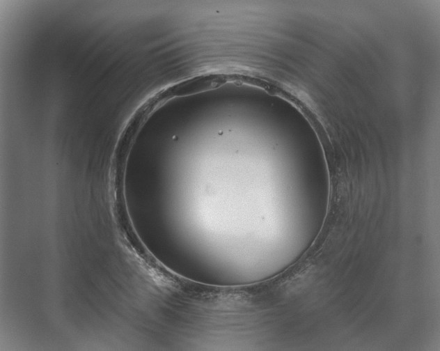 X0000073420979200608041020