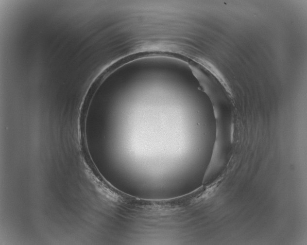 X0000073420980200608041020