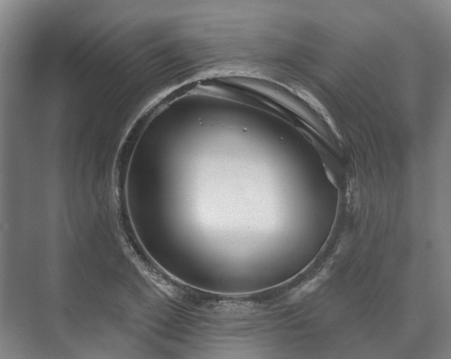 X0000073420981200608041020