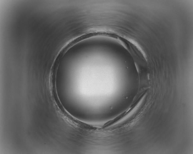 X0000073420983200608041020