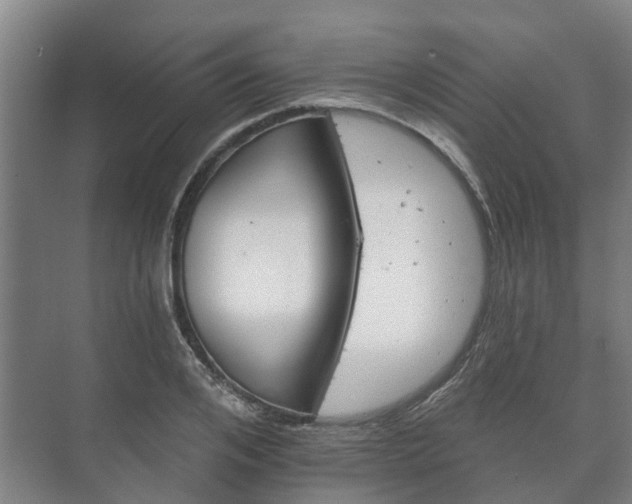 X0000073420984200608041020