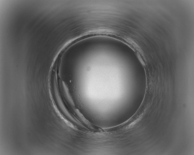 X0000073420989200608041020