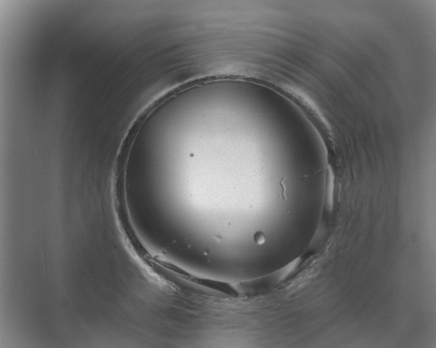 X0000073420991200608041020