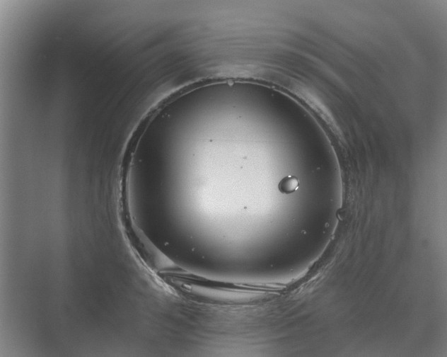 X0000073420992200608041020