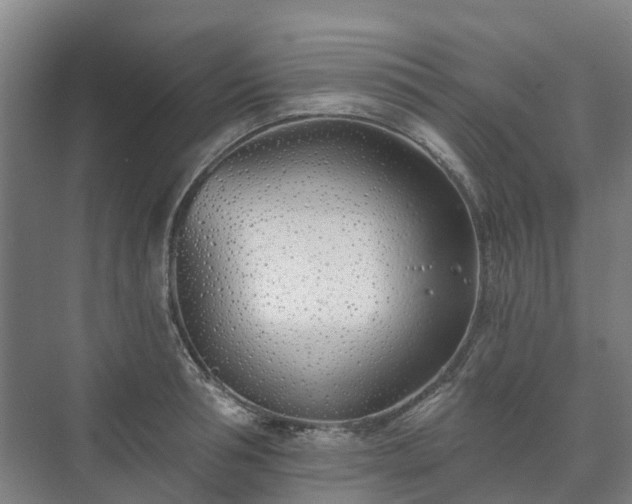 X0000073420994200608041019