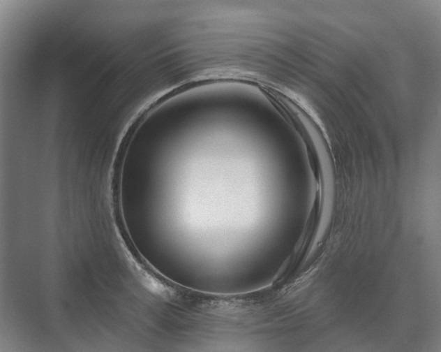 X0000073420995200608041019