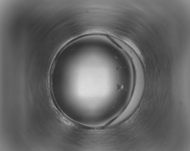 X0000073420996200608041019