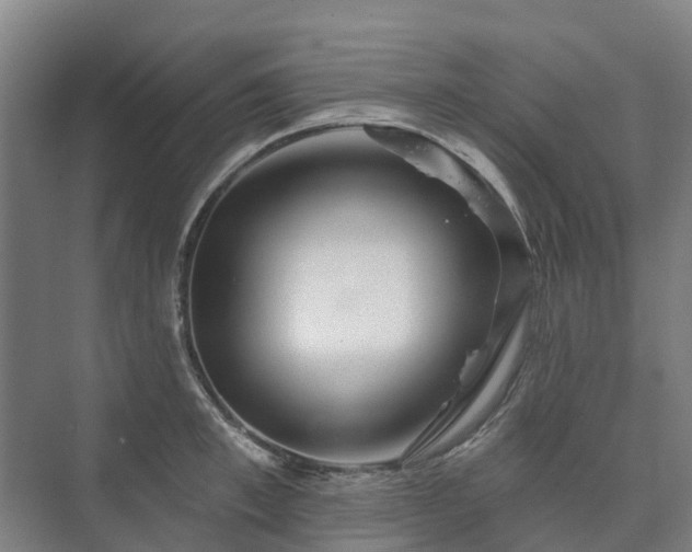 X0000073420997200608041019