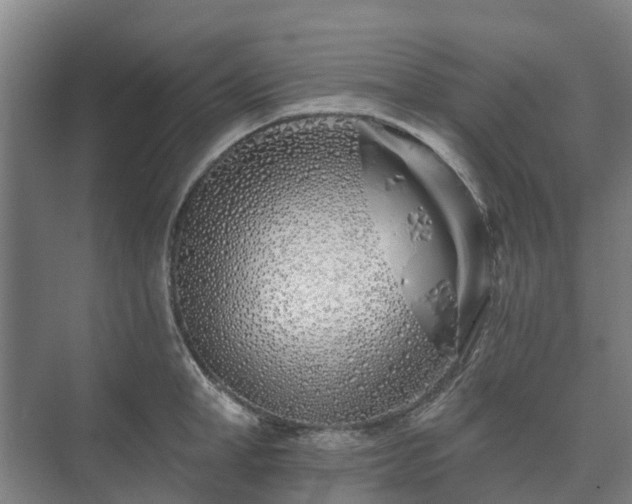 X0000073420998200608041019