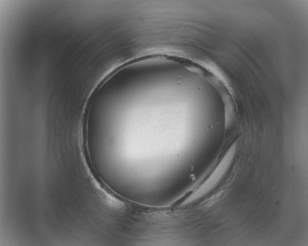 X0000073420999200608041019