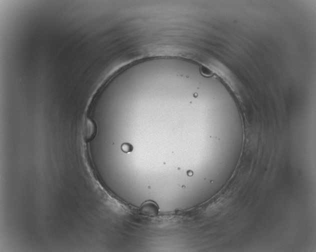 X0000073421000200608041019