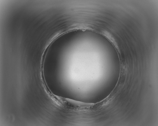 X0000073421002200608041019