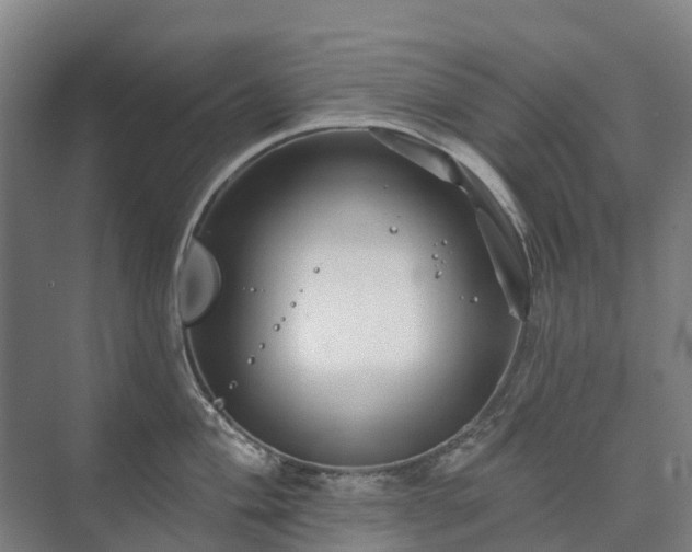 X0000073421004200608041019