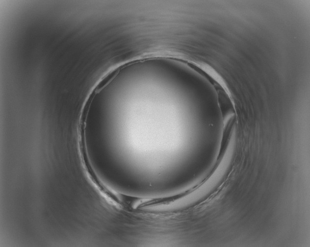 X0000073421005200608041019