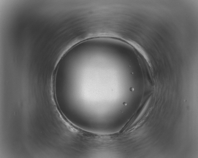 X0000073421006200608041019