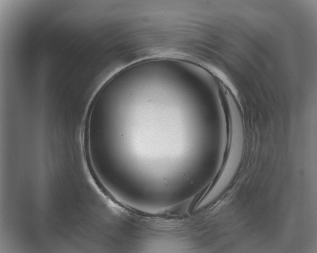 X0000073421007200608041019