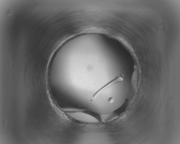 X0000073421008200608041019