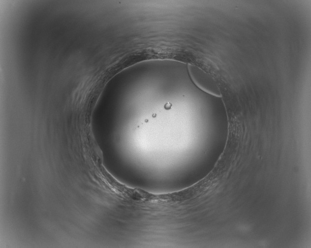 X0000073421009200608041018