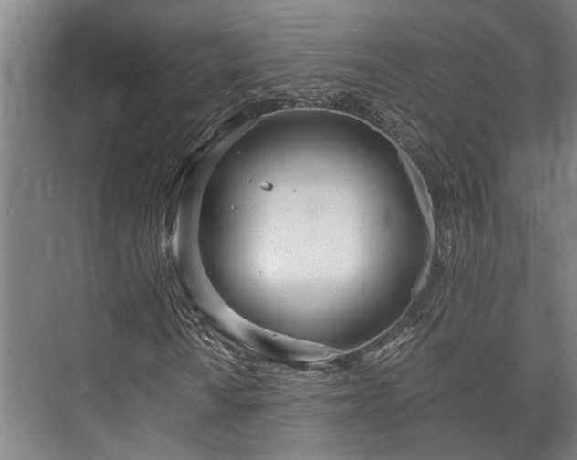 X0000073421010200608041018