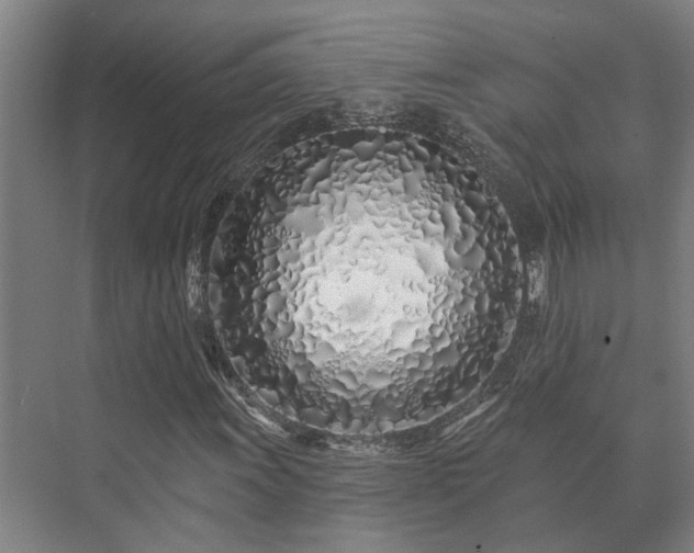 X0000073421011200608041018