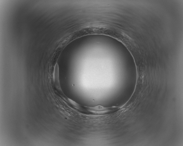 X0000073421014200608041019