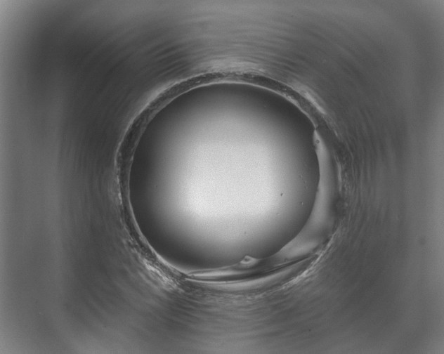 X0000073421022200608041019