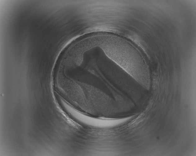 X0000073421024200608041019