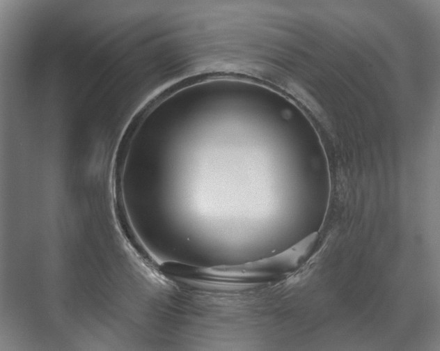 X0000073421028200608041019