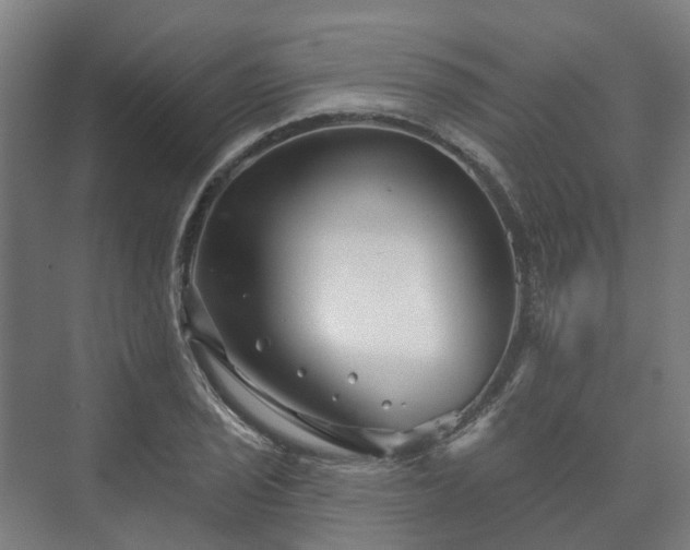 X0000073421029200608041019