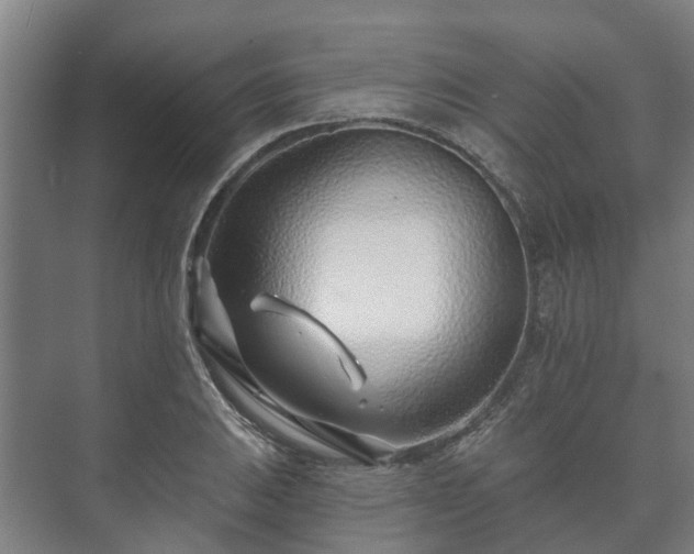 X0000073421031200608041019