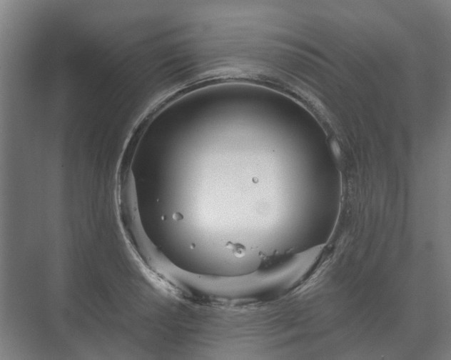 X0000073421034200608041019