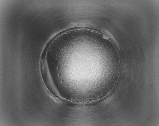 X0000073421035200608041019