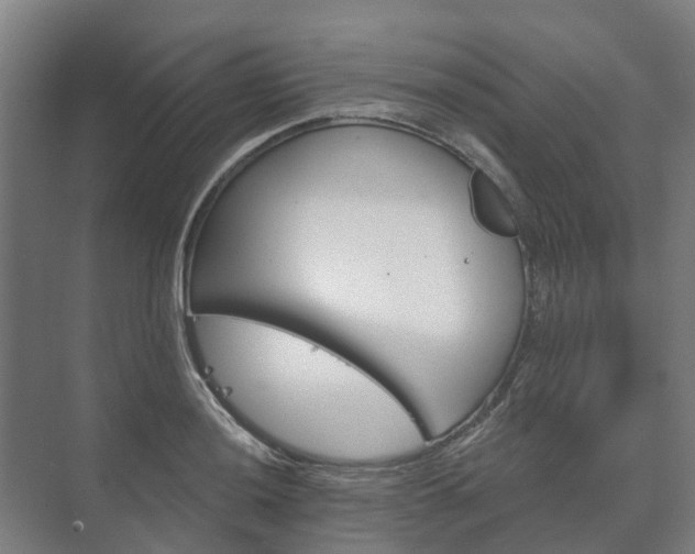 X0000073421036200608041019