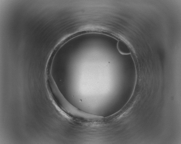 X0000073421037200608041019