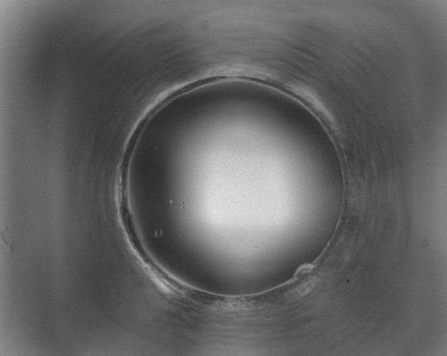 X0000073421040200608041019