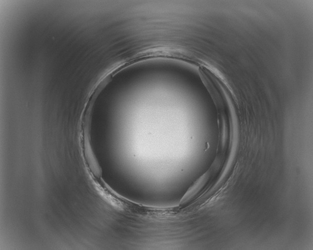 X0000073421042200608041019