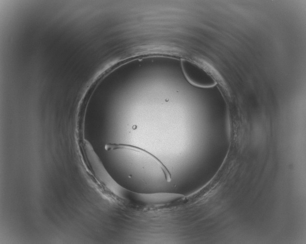 X0000073421043200608041019