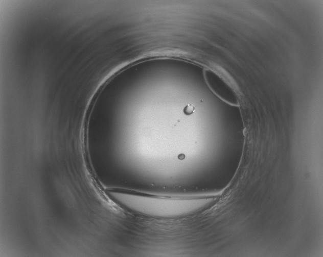 X0000073421044200608041019