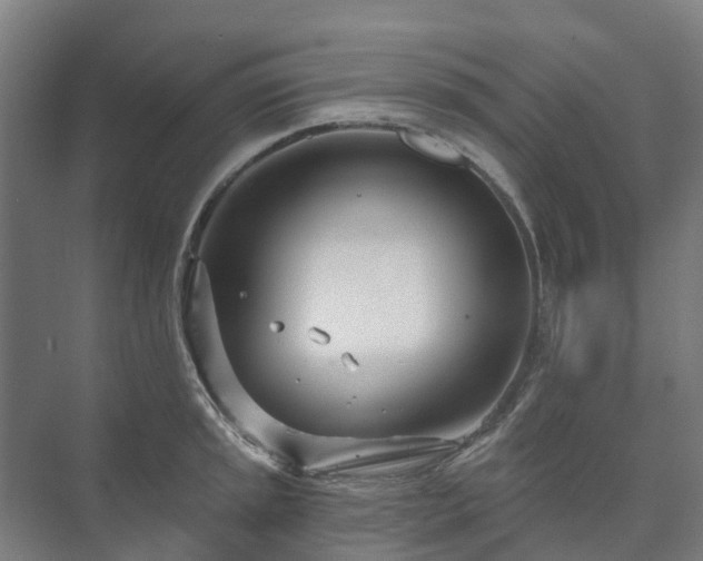 X0000073421045200608041019