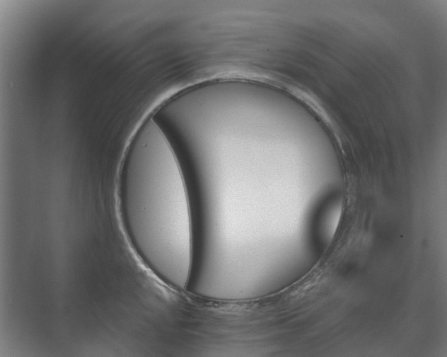 X0000073421048200608041019