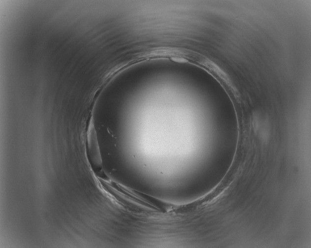 X0000073421049200608041019