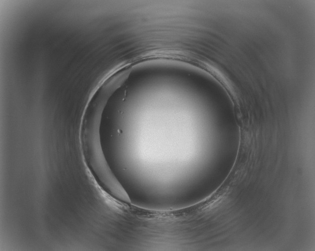 X0000073421050200608041019