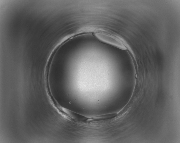 X0000073421053200608041019