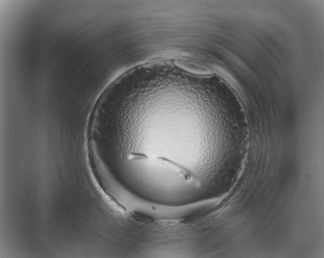 X0000073421055200608041019