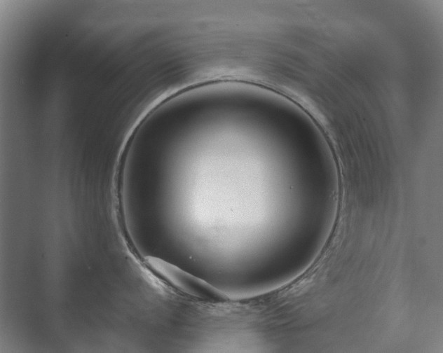 X0000073421056200608041019