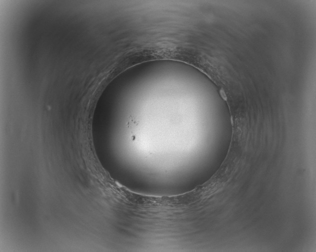 X0000073421057200608041018